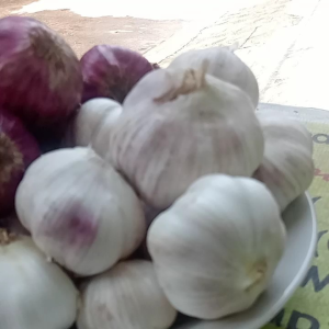 Bawang Putih Biasa 1 KG | Grosir Bawang Putih Impor 1 KG Berkualitas