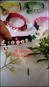 kalung kucing Custom nama webing polos