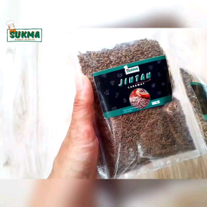 Jintan Utuh Masak Asli 100gram Alami Fresh - Caraway Seed - Rempah Herbal Bumbu Dapur Masak Premium