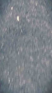 Cover CVT Aerox New & Nmax New Tebal 5mm Bening Transparan