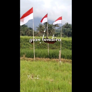 bendera indonesia kecil 50x80 cm bendera merah putih