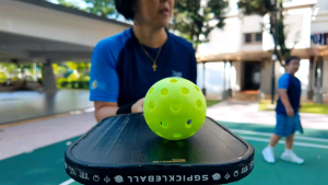 SG BRAND Pikeqiu™️ Pickleball Paddle – Carbon Fiber USAPA Approved Lightweight & Durable