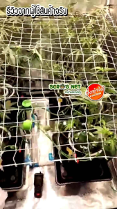 Scrog Net Handmade DIY ตาข่ายปลูกพืช ตาข่ายปลูกต้นไม้