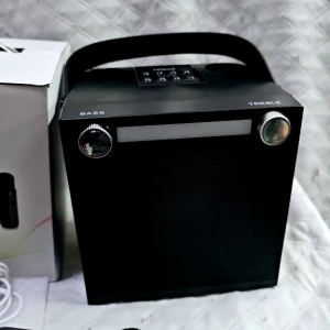 Wireless Karaoke Speaker with Two Wireless Microphones: A Comprehensive Guide