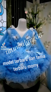 Pakaian Anak Karnaval Kupu-Kupu Cantik Istimewa + Bando Gratis
