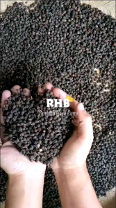 Biji Lada Hitam 100gr Black pepper