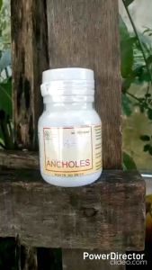 Obat Herbal Ancholes ( Obat Anti Kolesterol )