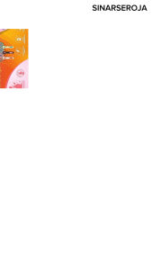 Raket Nyamuk Cas 007 Stark Murah