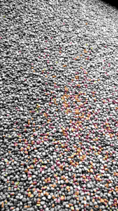 Benih Lobak Radis (250 Biji): Benih Lobak Berkualitas Tinggi