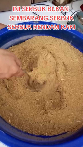 Ramuan Dayak TALIDO: Terapi Rendam Kaki Alami