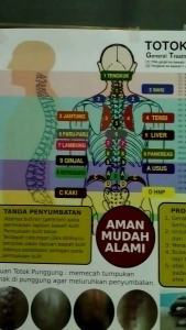 poster totok punggung Poster Anatomi Untuk Terapi Bahan Kertas Berkualitas Tinggi Desain Polos Untuk Dekorasi - Lazada