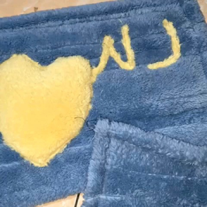 Keset kaki lantay menyerap debu berbahan bulu lembut