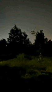 Kamera Night Vision Triton NV101: Kamera CCTV Terbaik 1080p Jernih & Alam