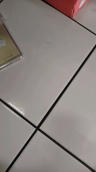 Buyer review video 6