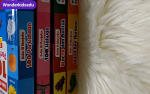 Buku Bergambar Pertama | Buku Kanak Kanak | Buku Si Manjaku | Board Book Baby | My First 100 Words