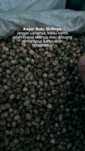 Green Bean (GB)/Biji Kopi Mentah Robusta Jantan dari Temanggung Jawa Tengah