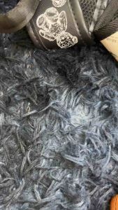 Balo Gấu Size 40 vừa A4 Laptop 14inch Atlat địa lý Da Bag