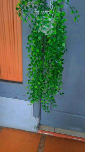 Daun Juntai Plastik & Pot Gantung Daun Plastik: Dekorasi Rumah Praktis