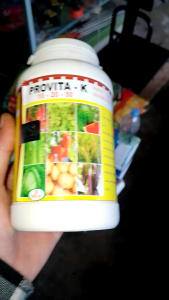 Pupuk Perangsang Bunga Dan Buah PROVITA K 10 - 20 - 50 PUPUK BUAH LENGKAP 500 gram