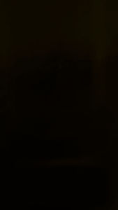 BUSI DAYTONA DOUBLE IRIDIUM VIXION MX R15 FU THUNDER125 KODE 3395 (CR9E) 100% ORIGINAL DAYTONA