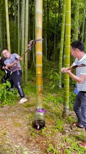 KNIFEZER Gergaji Geraji Lipat Portabel Folding Wood Hand Saw - LA146