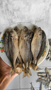 IKAN ASIN PEDA TEROS UTUH ISI 500GR