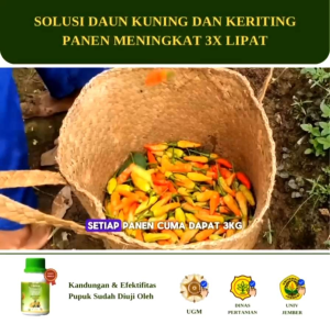 Pupuk Cair Ritrina 1 Liter - Pencegah Kuning Keriting Daun Cabe Tomat Terong Melon Semangka