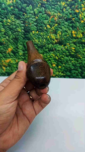 Sedotan Pipa Kayu Kelor Jawa Unik & Lentik Minimalis A640