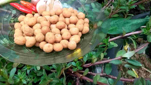 Kacang Telur Bulat Terigu