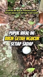 AQ Green Gold 500g Pupuk Booster Organik Viral Ampuh Penderas Getah Karet Dan Pelebat Buah Sawit Kopi Lada Jagung