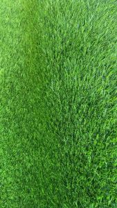 RUMPUT SINTETIS TYPE SWISS MURAH 3CM UKURAN 100 X 100CM MURAH UNTUK DEKORASI TAMAN-RUMPUT SINTETIS MURAH PREMIUM