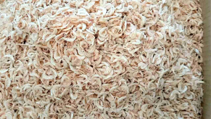 Ikan Asin Hepi/Rebon Kasar Super