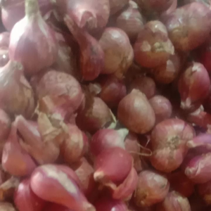 BAWANG MERAH KERING 1 KG