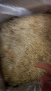 Ikan Asin Murah & Berkualitas: Teri Asin Medan 1kg