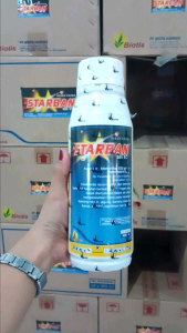 INSEKTISIDA STARBAN 585 EC PEMBASMI ULAT
