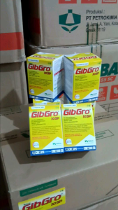 GIBGRO PERTUMBUHAN GIBGRO PANEN 1 GRAM PER SACHET