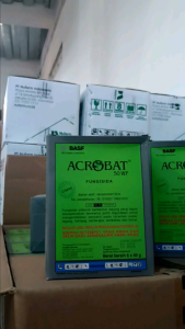 FUNGISIDA ACROBAT 50WP 10GR/40GR