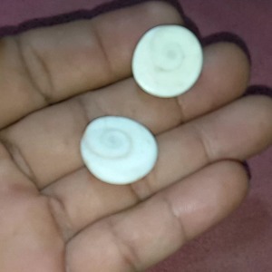 set 2 biji kol buntet
