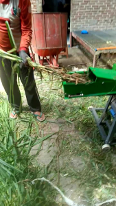 Mesin Chopper Rumput Travelator / Mesin Cacah Rumput Eskalator Datar / Coper Pemotong Rumput dan Ranting YCC 096Z