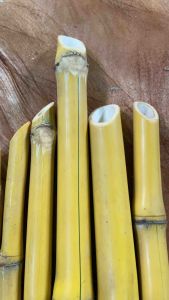 Batang bambu kuning sudah runcing P 30 cm isi 2 batang-az