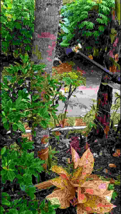 Nozzle Sprayer Adjustable Super Kabut Black Siklon / Super Kabut / Spuyer Penyiram Tanaman Pertanian