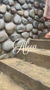 Lapepa ALEEA Sandal Selop Wanita Model Kepang Kekinian Sendal Flat Santai Kasual