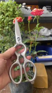 Kéo bếp kai inox mới 98% có thể tháo rời