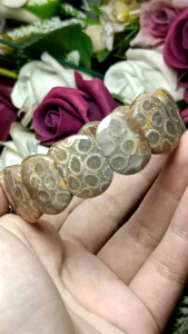 High Quality Coral Jade Stone Papan Bracelet 高货珊瑚玉手排