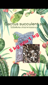 ดินปลูกกระบองเพชร แคคตัว