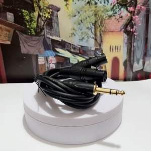 Dây Audio 6.5mm ra 2 Jack Canon Cái dài 1m