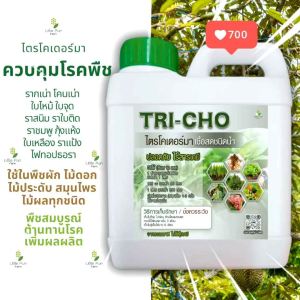 ไตรโคเดอร์มา เชื้อสด ชนิดน้ำ ขนาด 1 ลิตร ควบคุมโรค เชื้อรา ราก โคนเน่า ใบหงิก แคงเกอร ใบจุด ชีวภาพ ไม้ ด่าง Trichoderma ไตรโคเดอร์ม่า