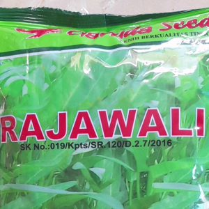 Benih bibit kangkung 1 KG RAJAWALI Berkualitas Prima Kemasan Pabrik Garuda Seed