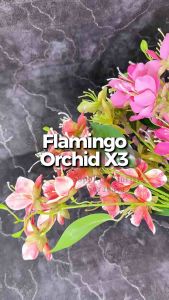 [FLAMINGO ORCHID X3] BUNGA PALSU ARTIFICIAL FLOWER BUNGA MENJUNTAI BATANG TINGGI DEKORASI PERNIKAHAN KAWINAN PELAMINAN WEDDING DECORATION TABLE DECORATION OCCASION DIY FLORIST SURABAYA TOKO BUNGA SURABAYA BLOOMING TULIP MELATI KECIL ANGGREK CYMBIDIUM