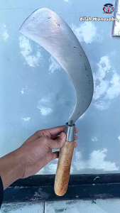 Am19 Sabat Deres Penderesan Sadap Kelapa Baja Isen Selap 3 Super CP Arab Wonosobo